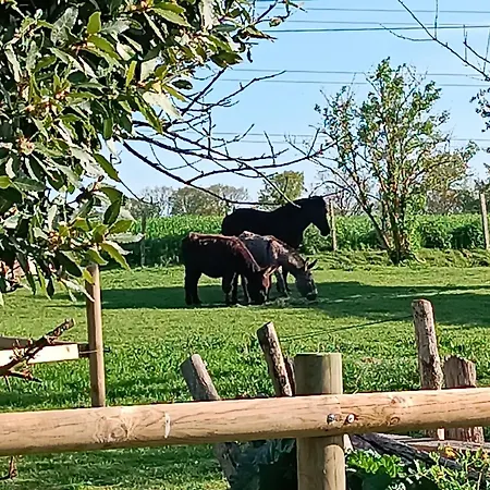 Domaine De Karoli Casa de hóspedes